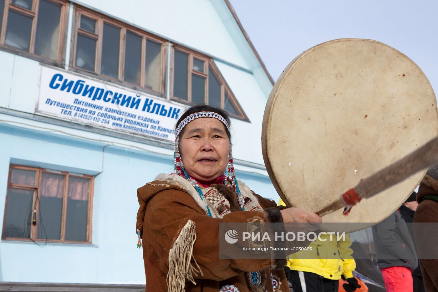 Питомник камчатских ездовых собак "Сибирский клык"