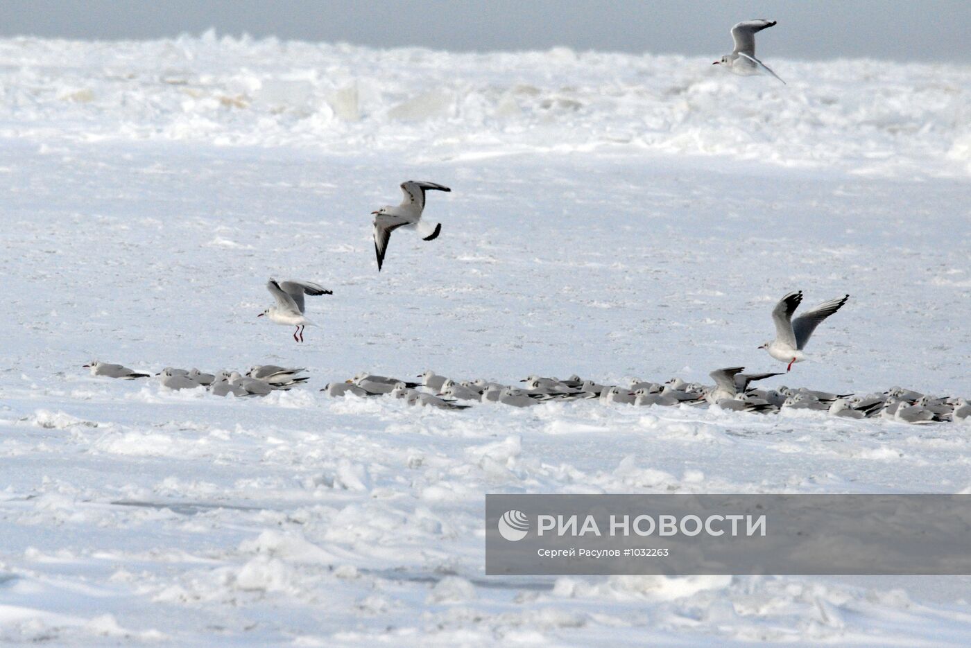 Аномальные морозы в Дагестане