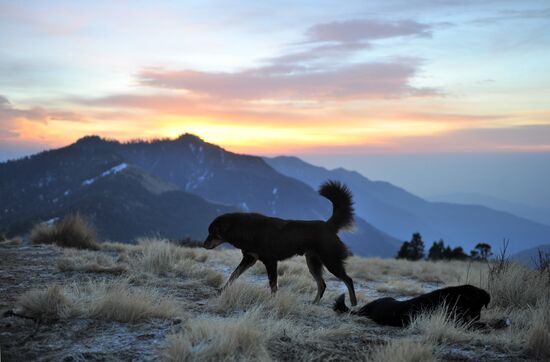 Зарубежные страны. Непал