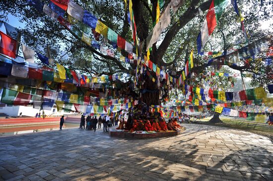 Зарубежные страны. Непал