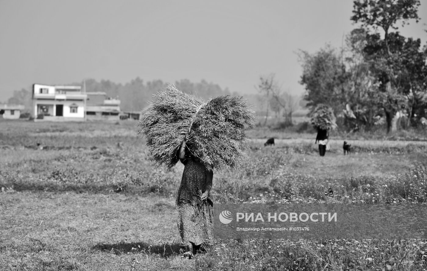 Зарубежные страны. Непал