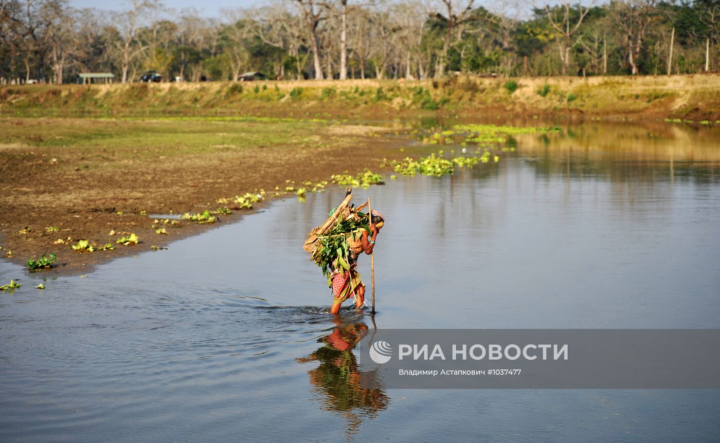 Зарубежные страны. Непал
