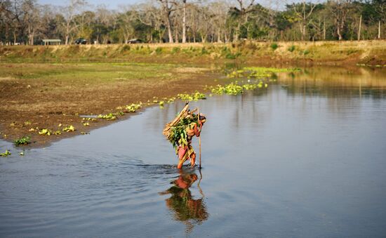 Зарубежные страны. Непал
