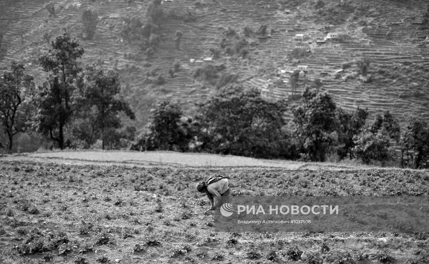 Зарубежные страны. Непал