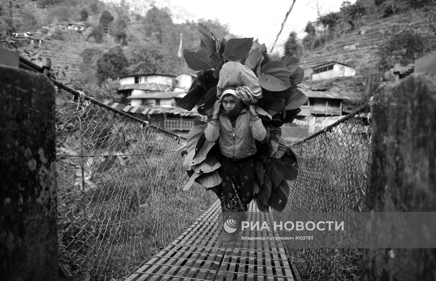 Зарубежные страны. Непал