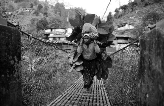 Зарубежные страны. Непал