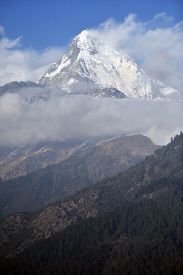 Зарубежные страны. Непал