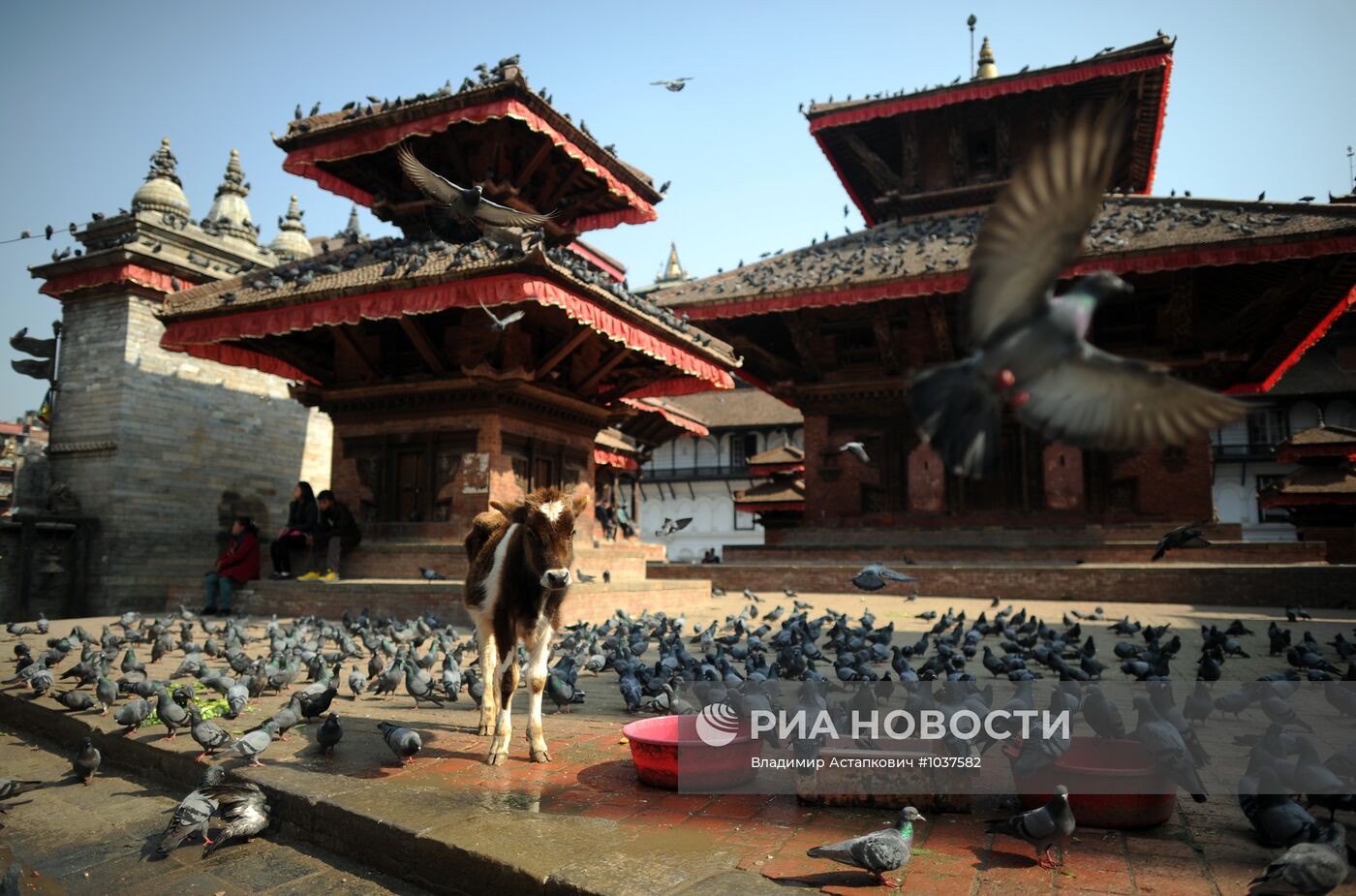 Зарубежные страны. Непал