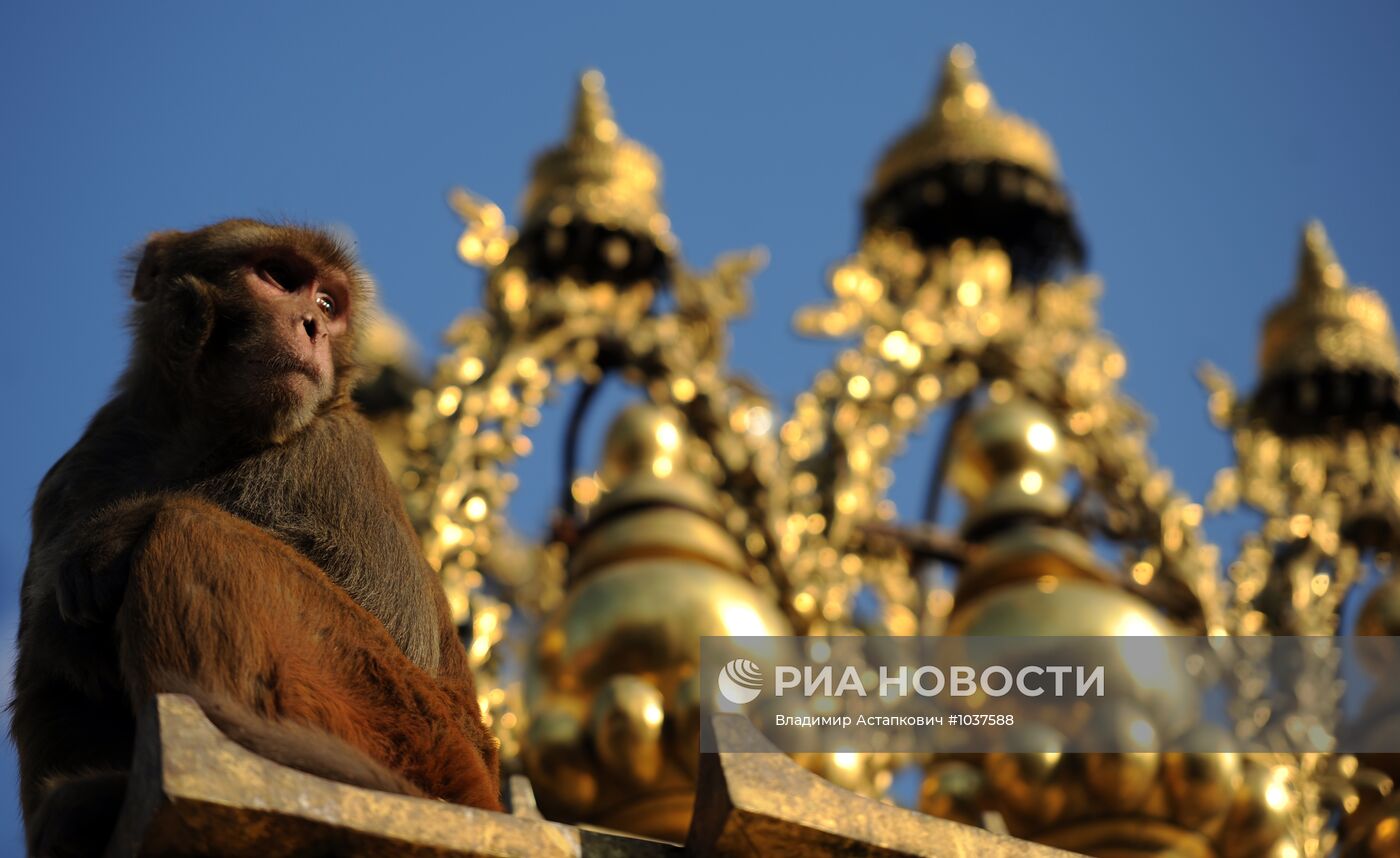 Зарубежные страны. Непал