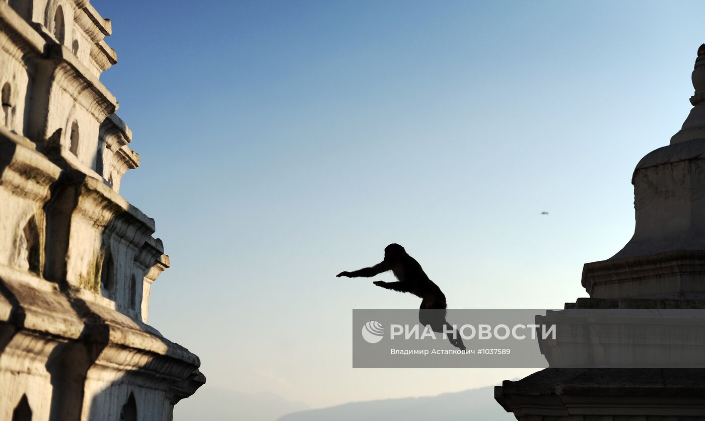 Зарубежные страны. Непал