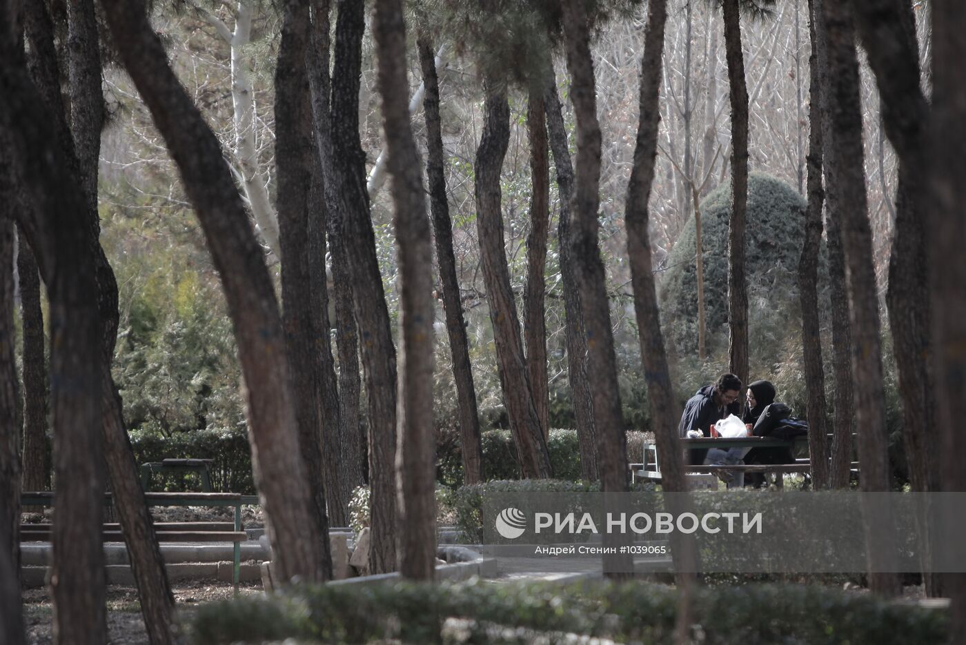 Зарубежные страны. Иран