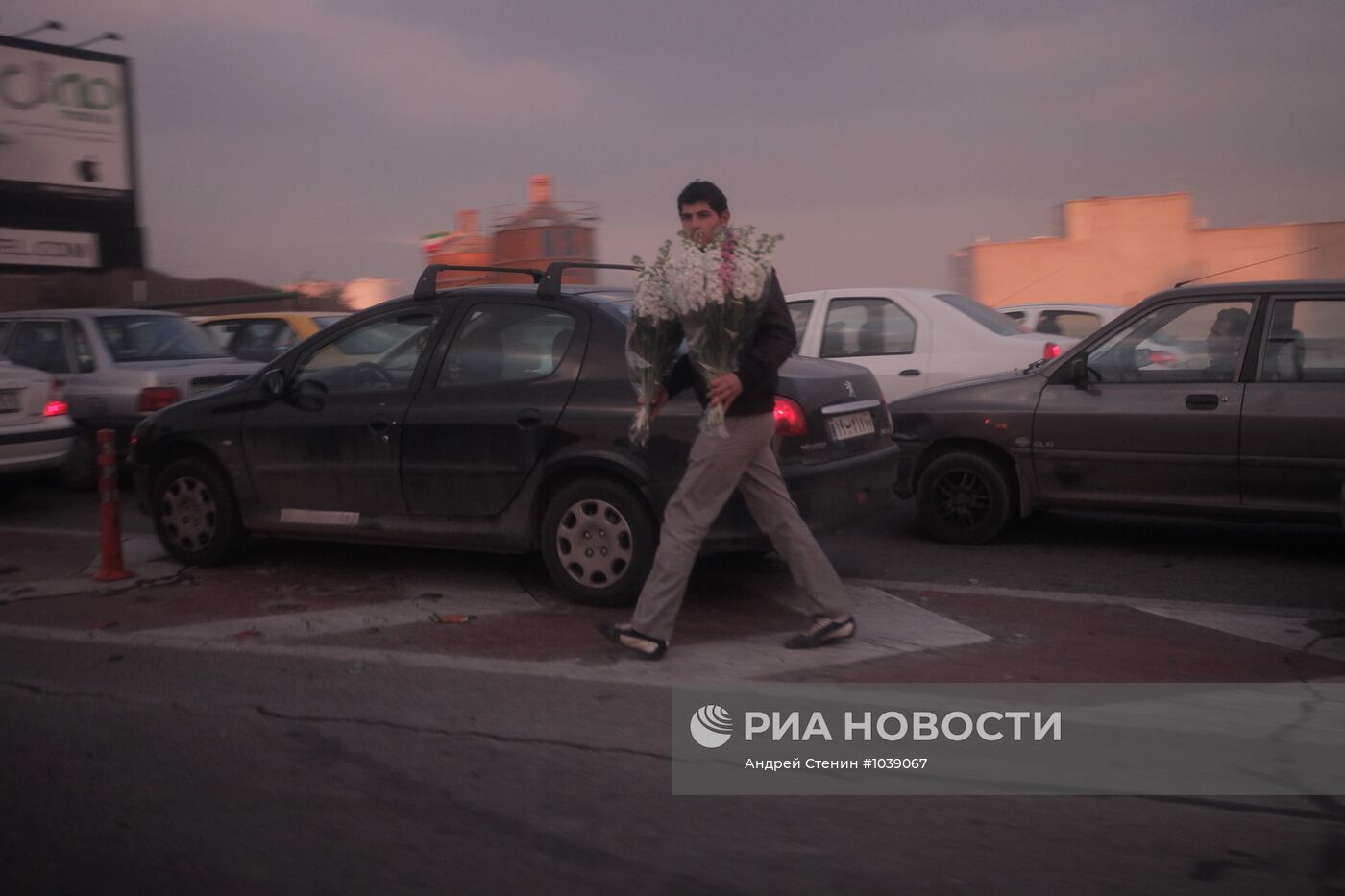 Зарубежные страны. Иран