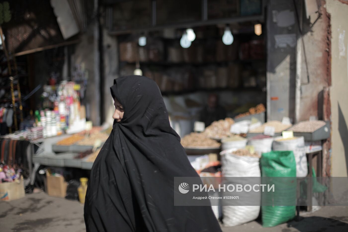 Зарубежные страны. Иран
