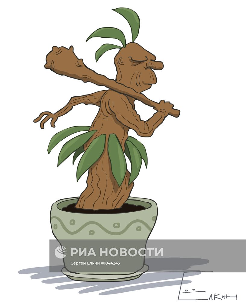 Российские биологи "воскресили" растение возрастом 30 тысяч лет