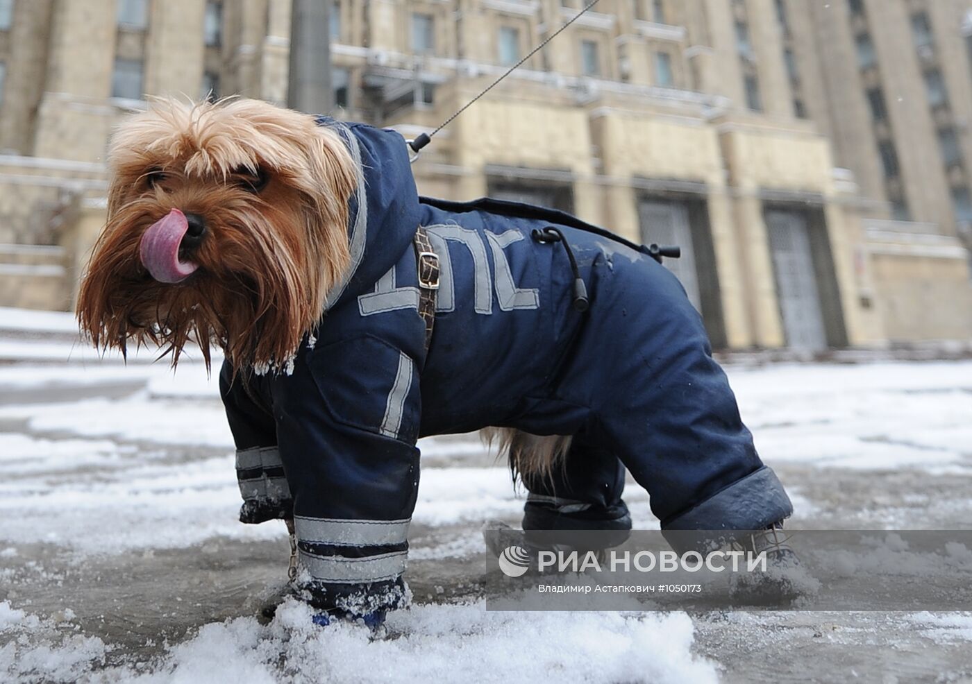 Акция "Белый круг" на Садовом кольце в Москве