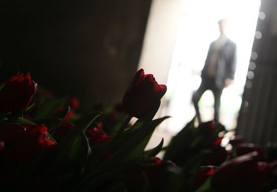 Срез тюльпанов в агрохозяйстве в Великом Новгороде