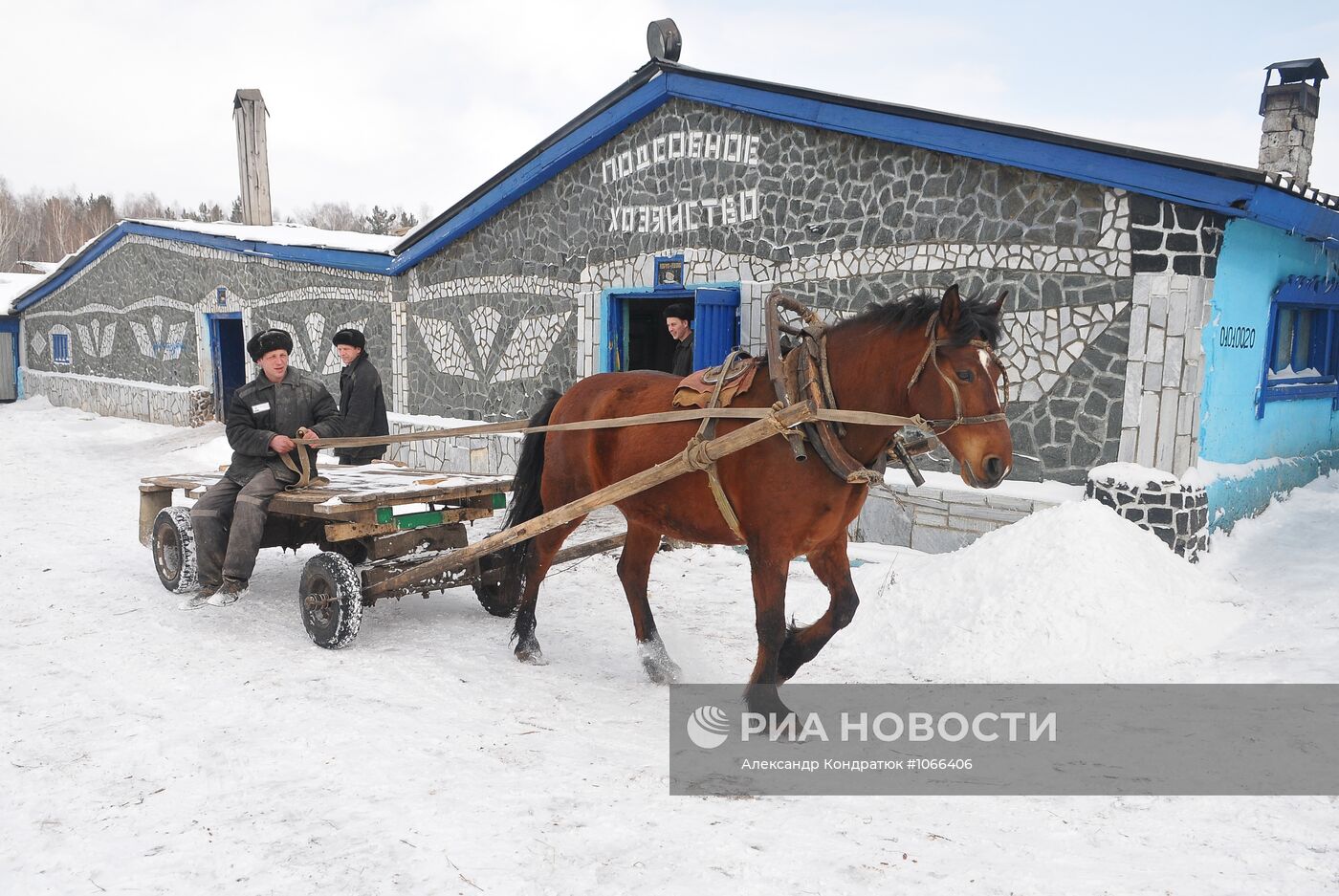 Работа подсобного хозяйства ИК № 21 в городе Касли | РИА Новости Медиабанк