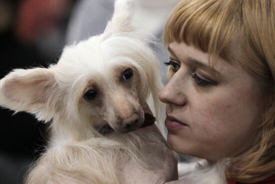 Международная выставка собак "Евразия 2012" в Москве