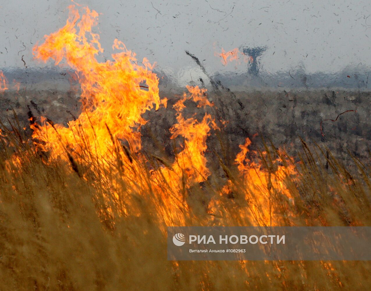 Пал сухой травы в Октябрьском районе Приморского края