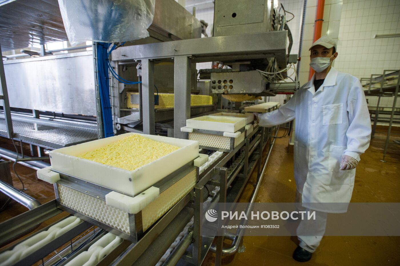 Производства сыра на Украине