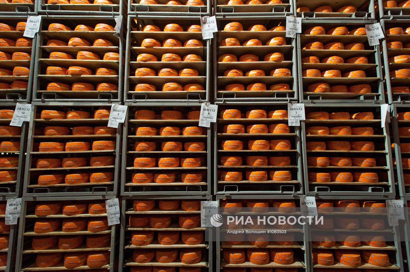 Производства сыра на Украине