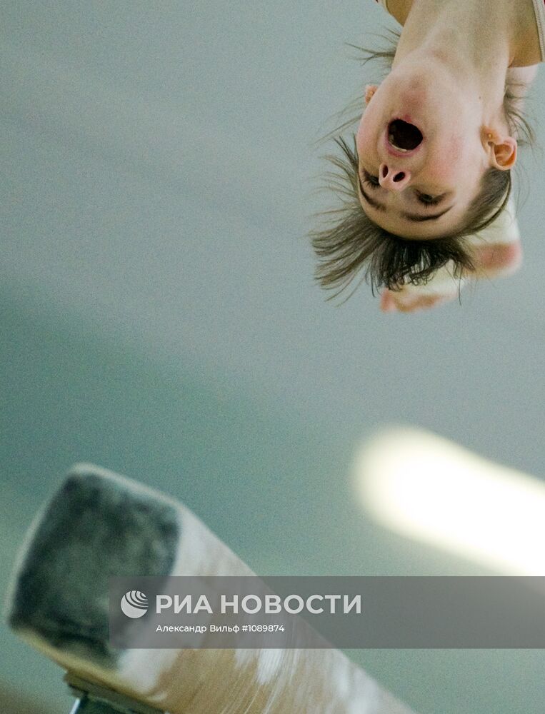 Тренировка сборной России по спортивной гимнастике