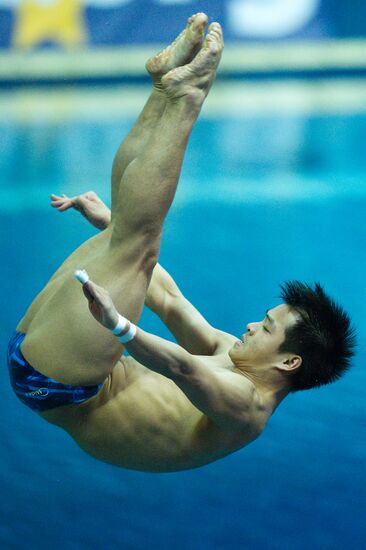 Прыжки в воду. 3-й этап мировой серии ФИНА 2012. 1-й день