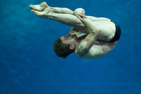 Прыжки в воду. 3-й этап мировой серии ФИНА 2012. 1-й день