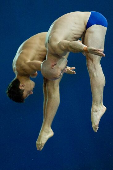 Прыжки в воду. 3-й этап мировой серии ФИНА 2012. 1-й день