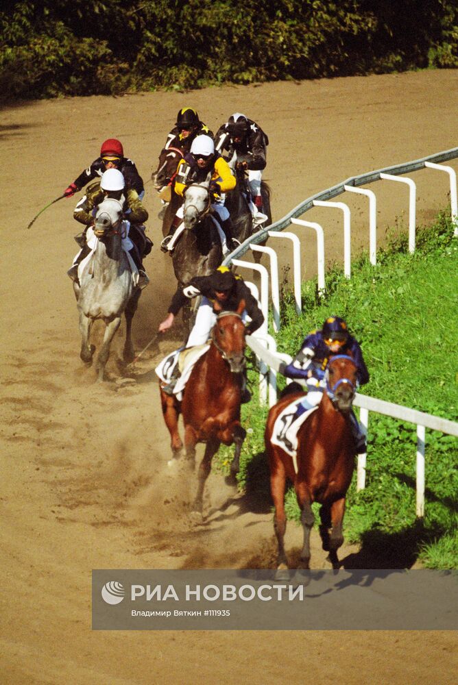 ИППОДРОМ ЛОШАДИ СКАЧКИ