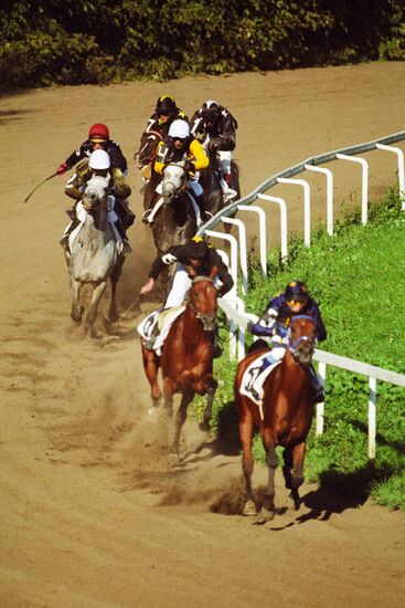 ИППОДРОМ ЛОШАДИ СКАЧКИ