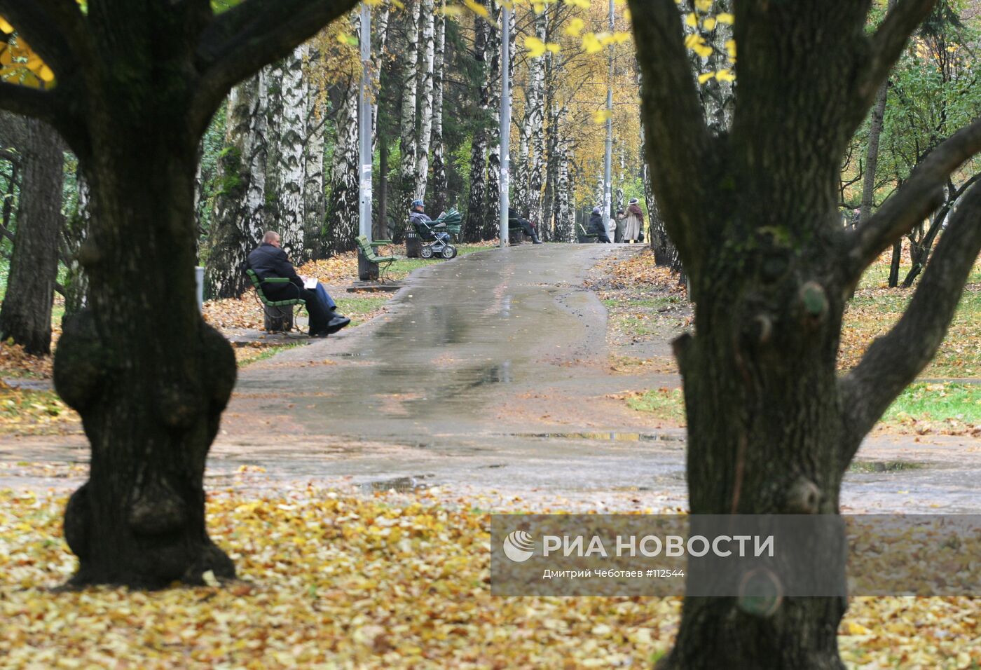 ПАРК ОСЕНЬ