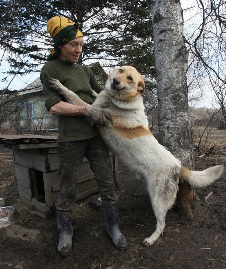 Приют для бездомных животных в п.Кипарисово Приморского края
