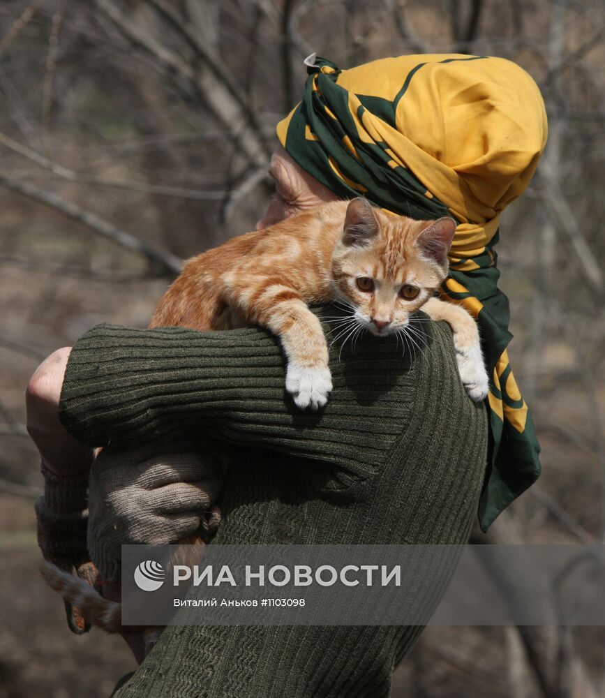 Приют для бездомных животных в п.Кипарисово Приморского края