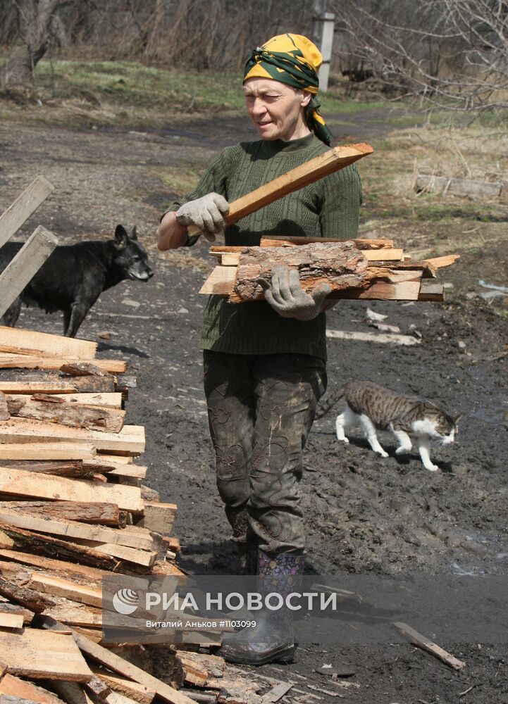 Приют для бездомных животных в п.Кипарисово Приморского края