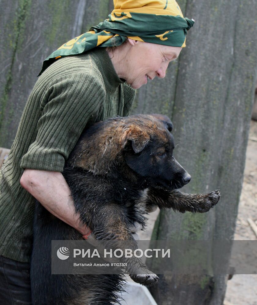 Приют для бездомных животных в п.Кипарисово Приморского края