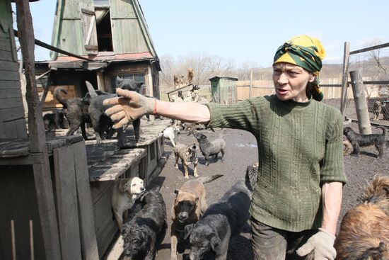 Приют для бездомных животных в п.Кипарисово Приморского края