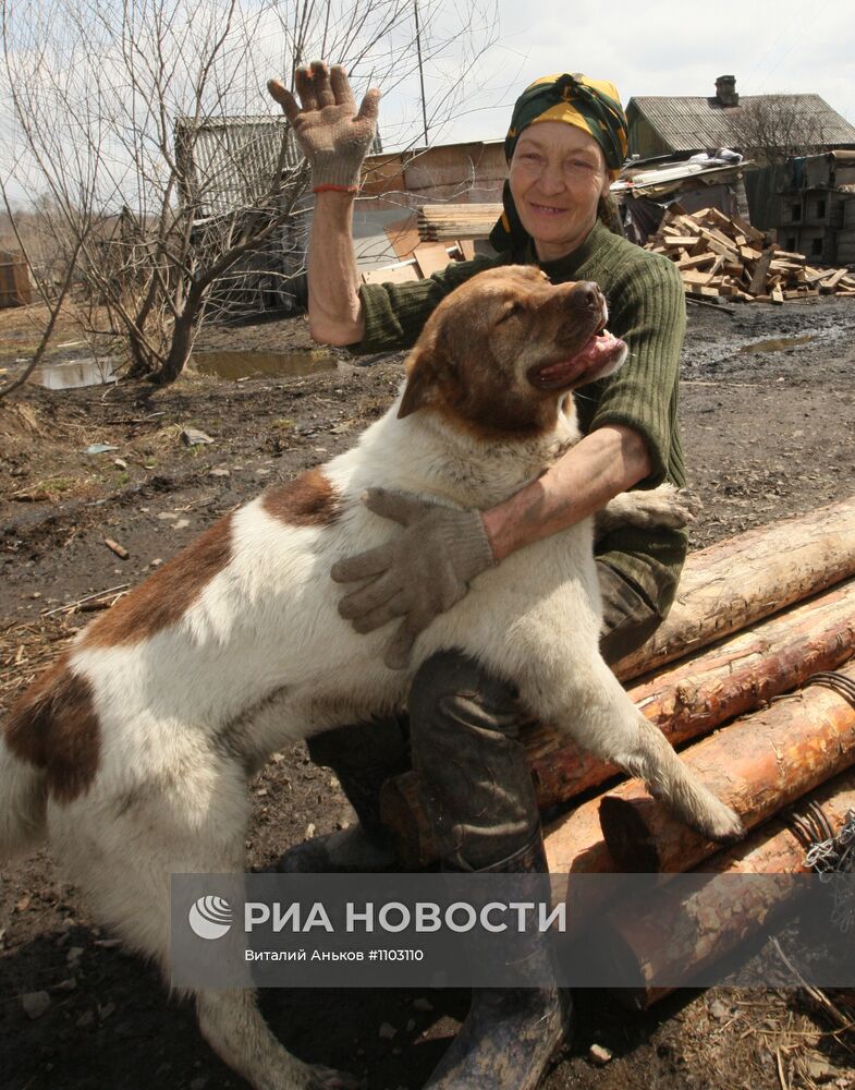 Приют для бездомных животных в п.Кипарисово Приморского края