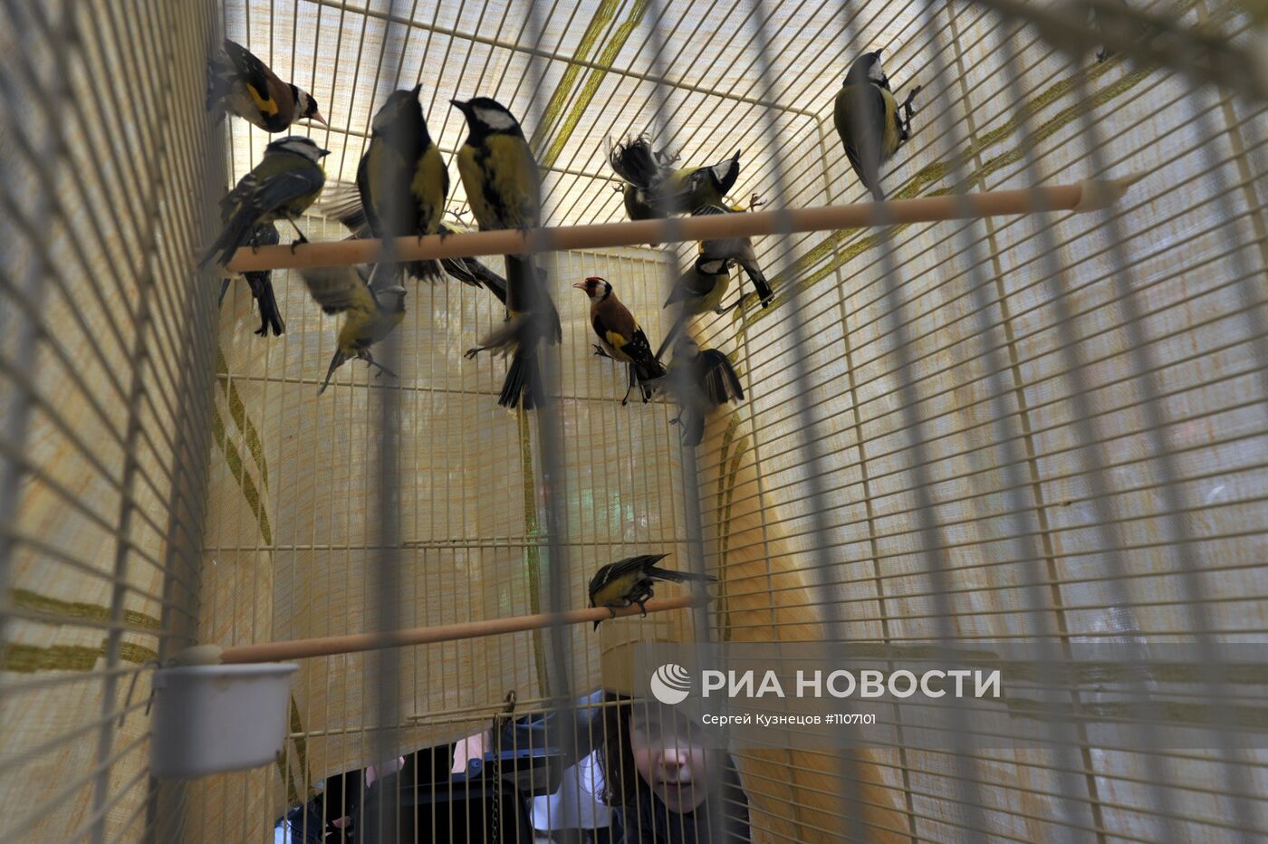 Второй медиасубботник в Нескучном саду