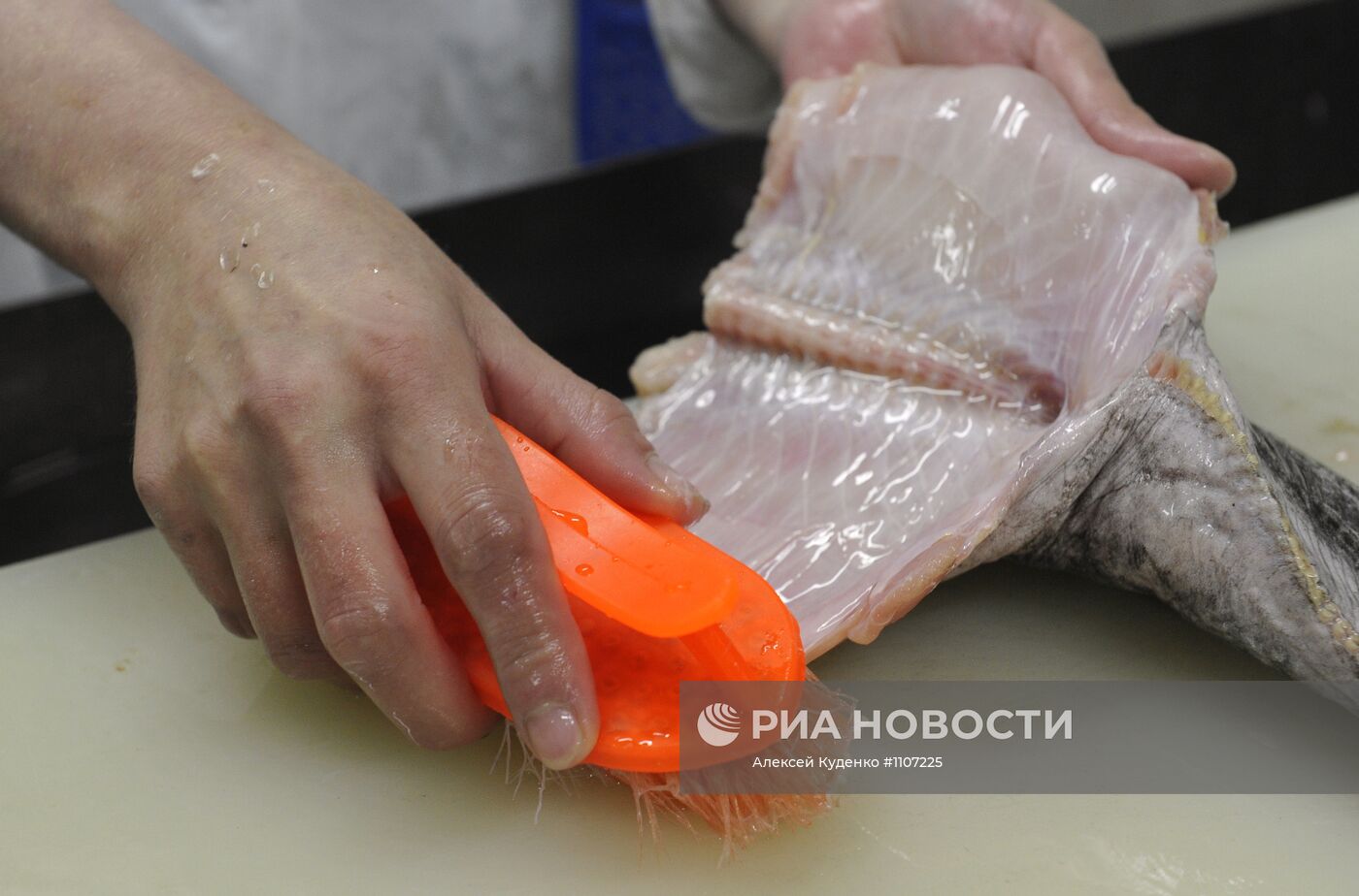 Переработка рыбы в рыболовецкой артели в Астрахани
