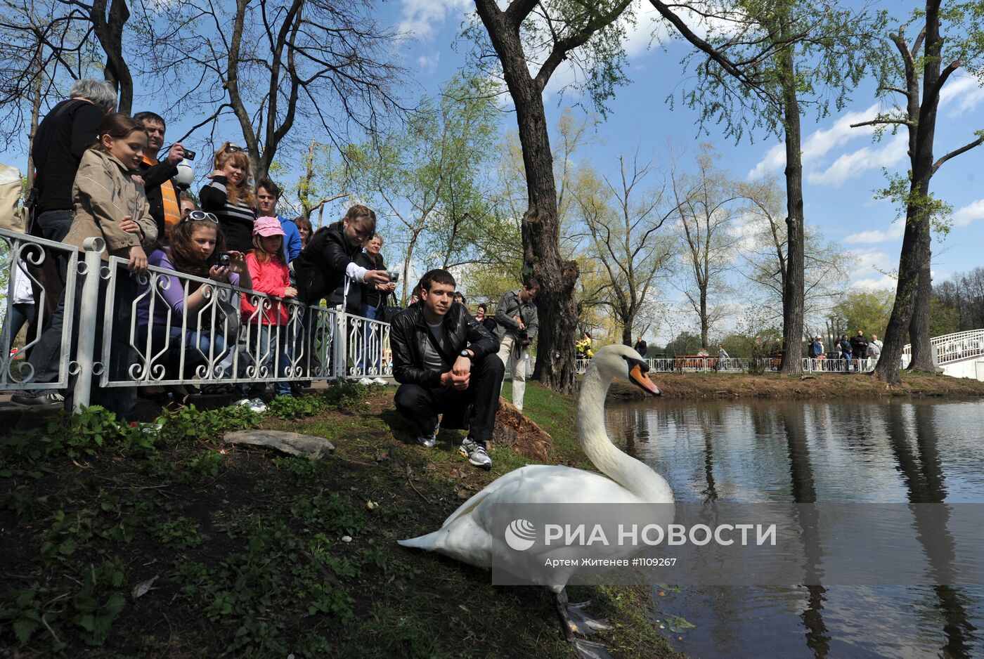 Отдых горожан в Парке Горького