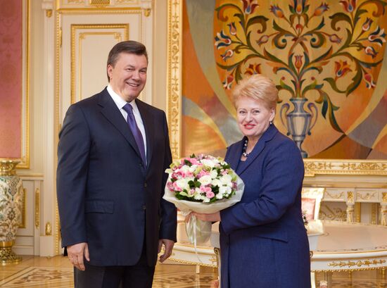 Встреча В. Януковича и Д.Грибаускайте в Киеве