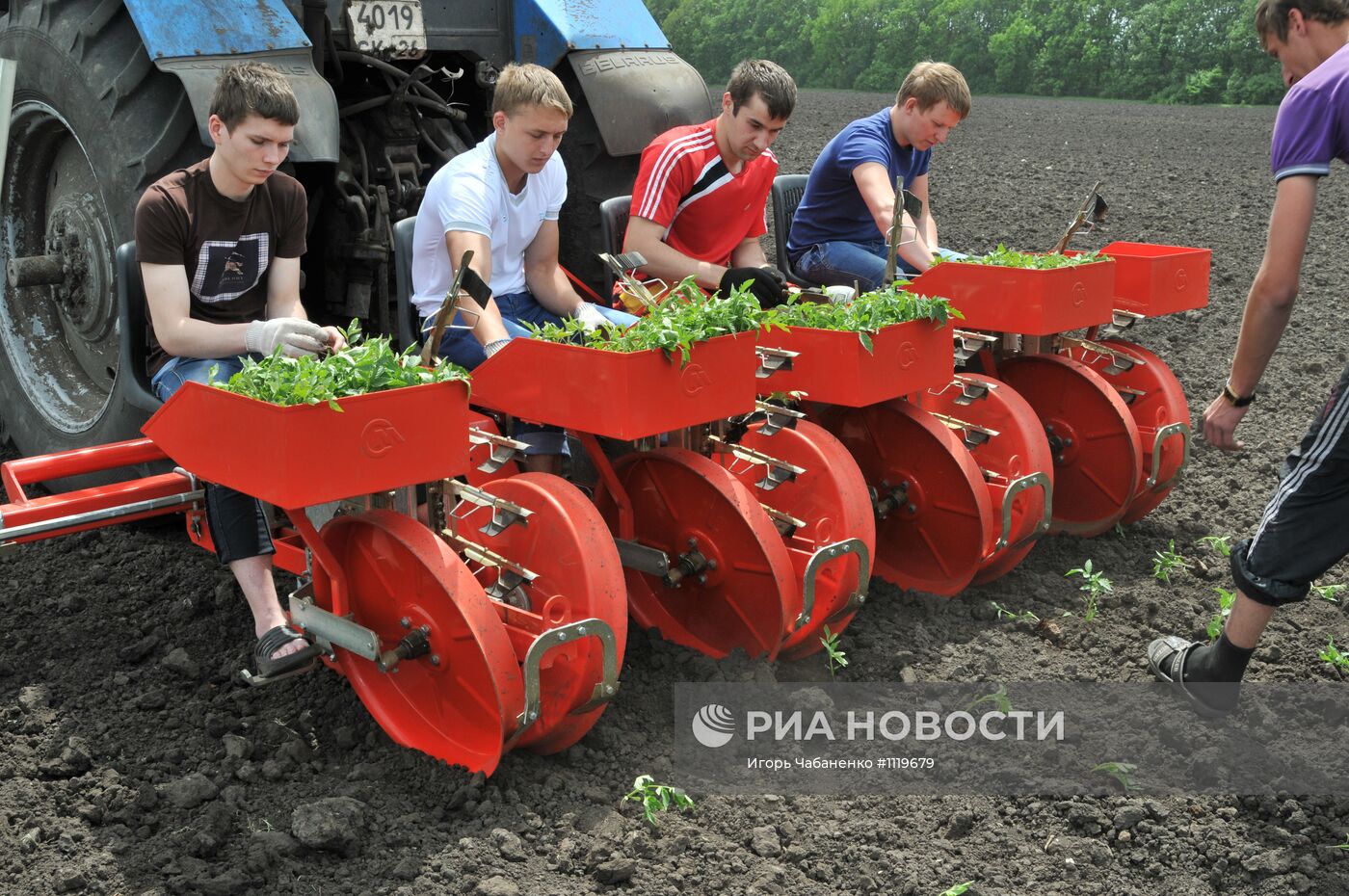 Весенне-полевые работы в Ставропольском крае