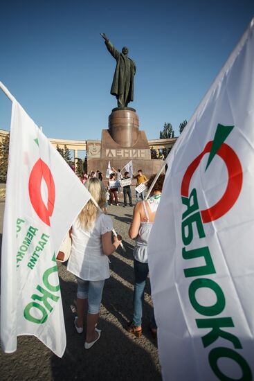 Митинг "За честную власть" в Волгограде