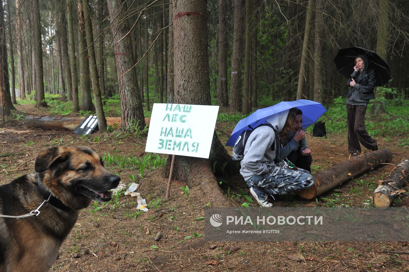 Ситуация в Цаговском лесу