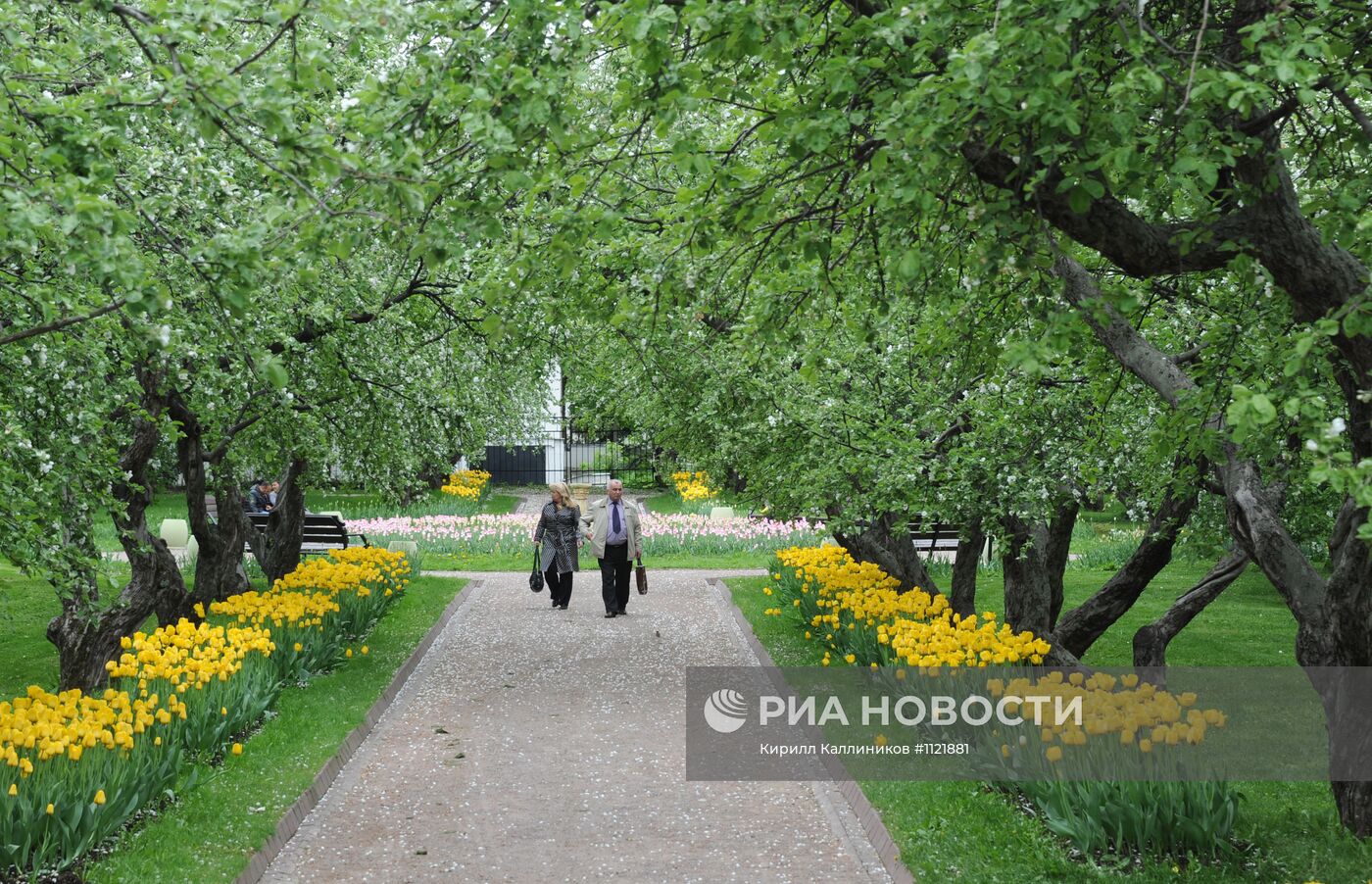 Музей-заповедник "Коломенское"