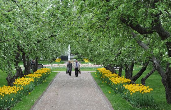 Музей-заповедник "Коломенское"