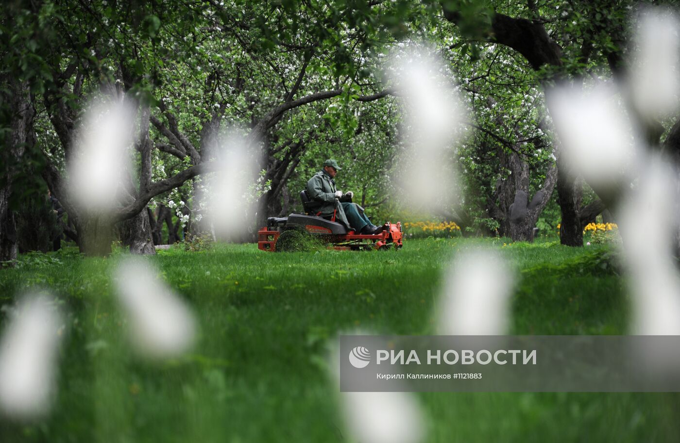 Музей-заповедник "Коломенское"