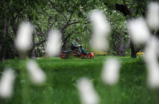 Музей-заповедник "Коломенское"