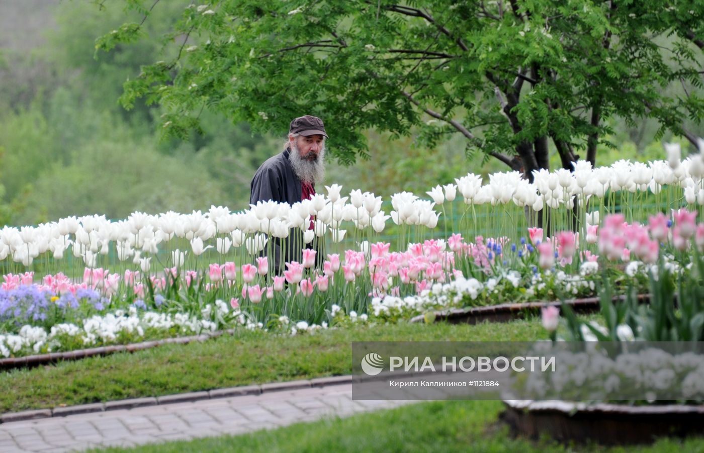 Музей-заповедник "Коломенское"